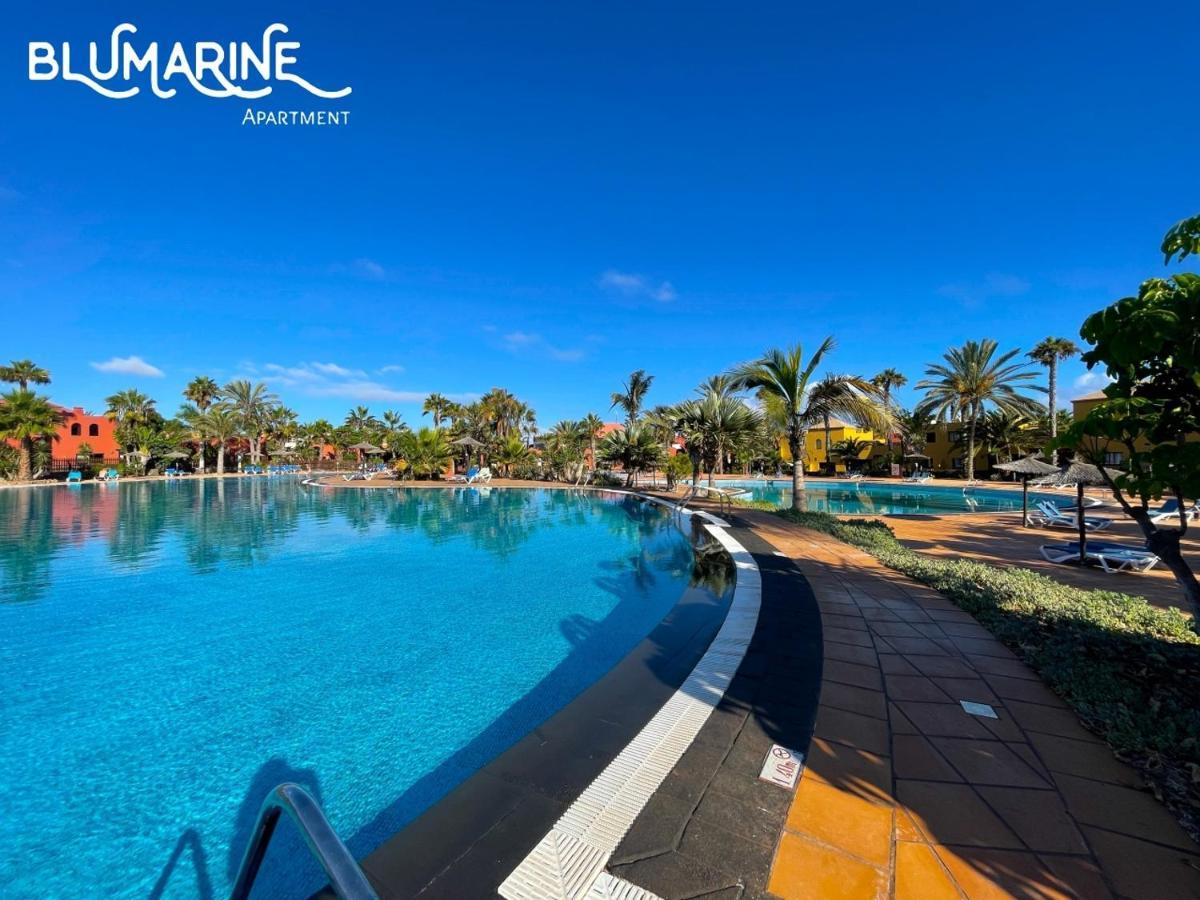Appartement Tamarindo Blumarine - Pool & Wifi Free 4 Persons *