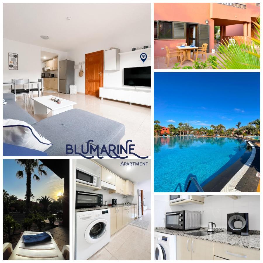 Appartement Tamarindo Blumarine - Pool & Wifi Free 4 Persons *